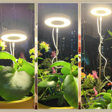 Adjustable Plant Ring Light