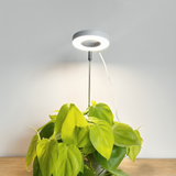 Adjustable Plant Ring Light